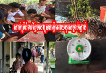 ពលរដ្ឋពុលចំនួន៩នាក់នៅភូមិកោះស្ដេច ស្រុកគិរីសាគរ កំពុងសង្រ្គោះបន្ទាន់ហើយស្លាប់ម្នាក់ហើយ